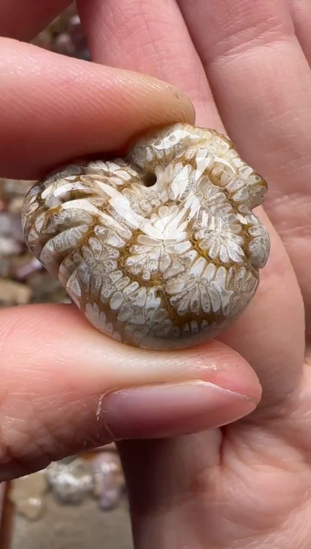 颈饰未镶嵌硅化珊瑚（珊瑚玉）351