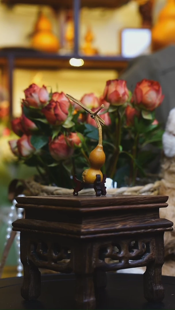 【闪购商品】小嘎达厚皮全头全尾草里金