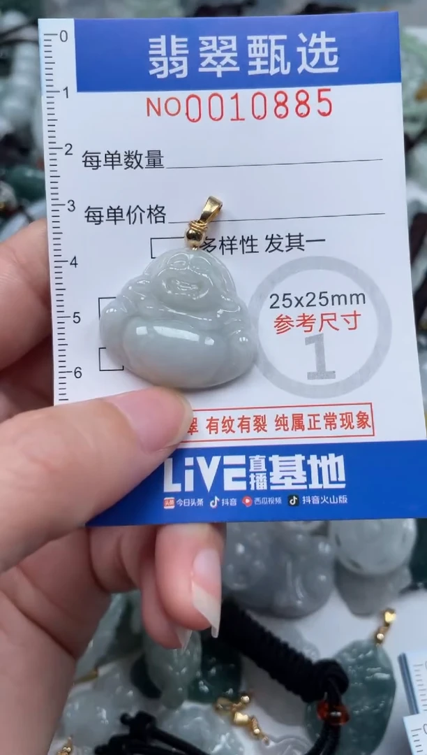 颈饰未镶嵌翡翠10885