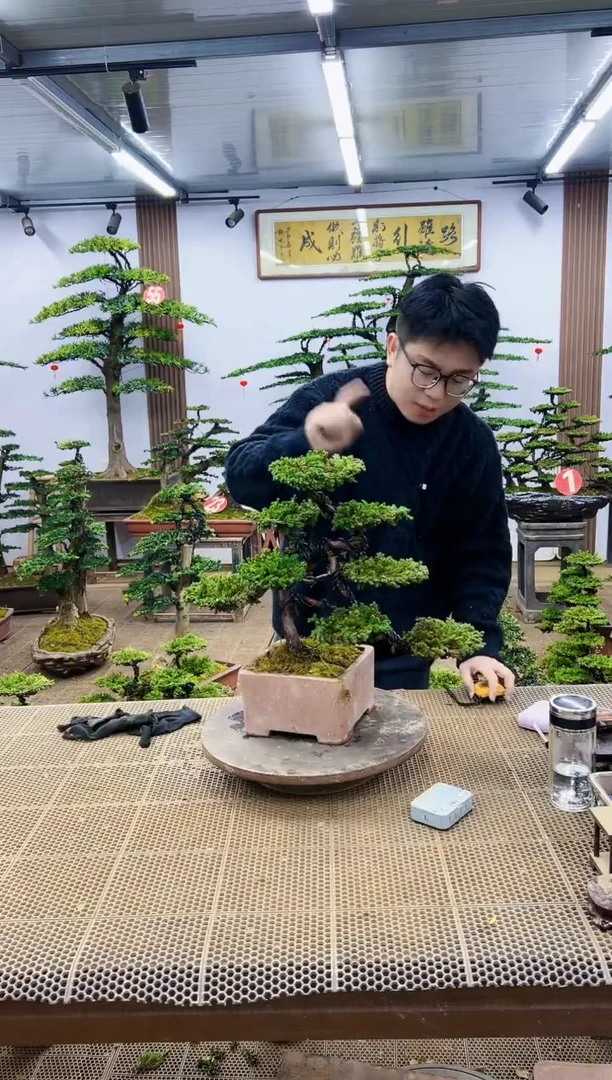 【闪购商品】00000