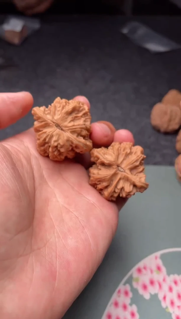 把件文玩核桃a111  龙脊背 39尺