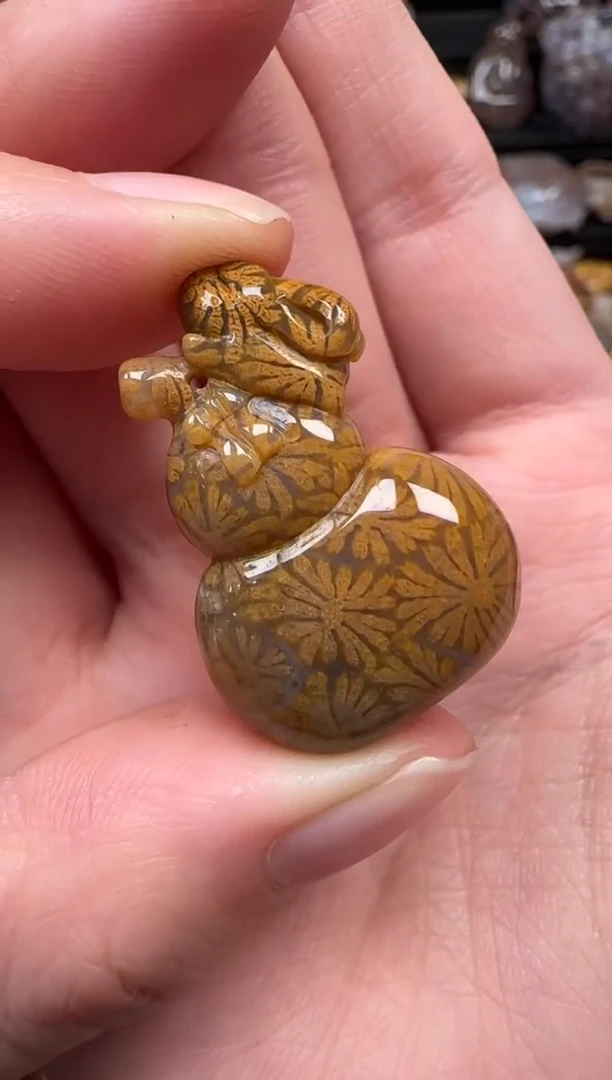 颈饰未镶嵌硅化珊瑚（珊瑚玉）133