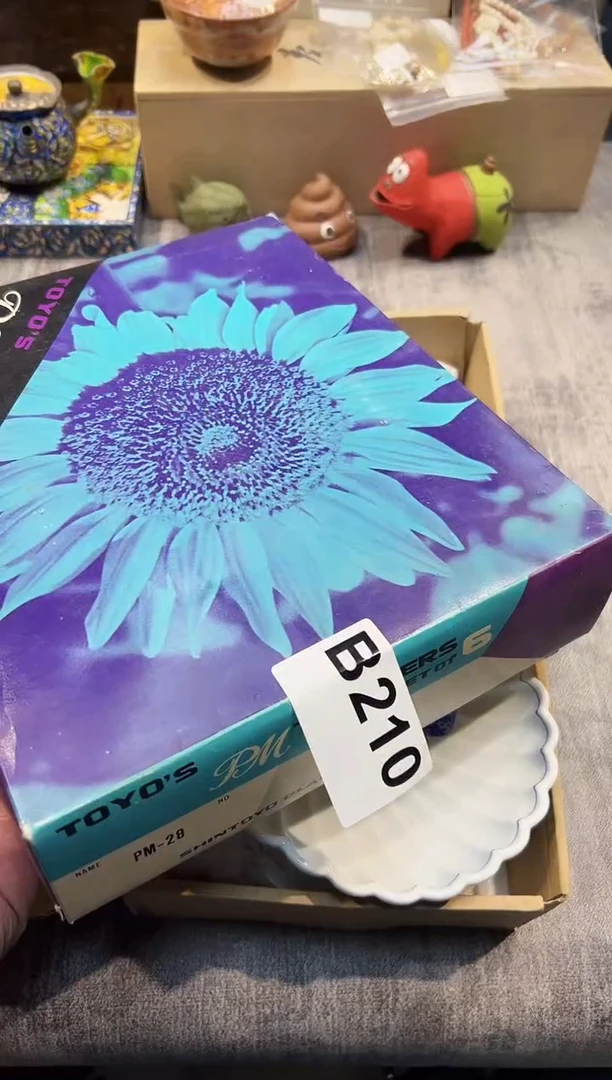 【闪购商品】瓷片210都是我的大宝贝儿瓷器