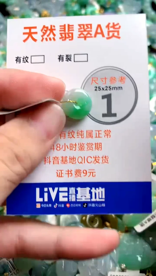 颈饰未镶嵌翡翠0516690127