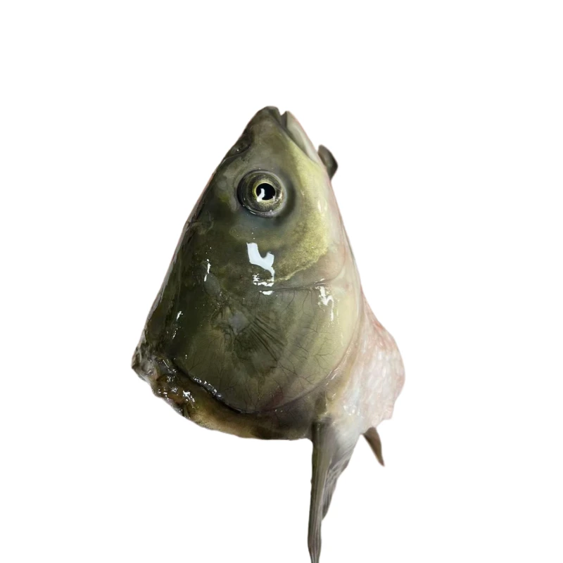 冰鲜鱼头鱼骨鱼尾 300g（鱼头对半切）