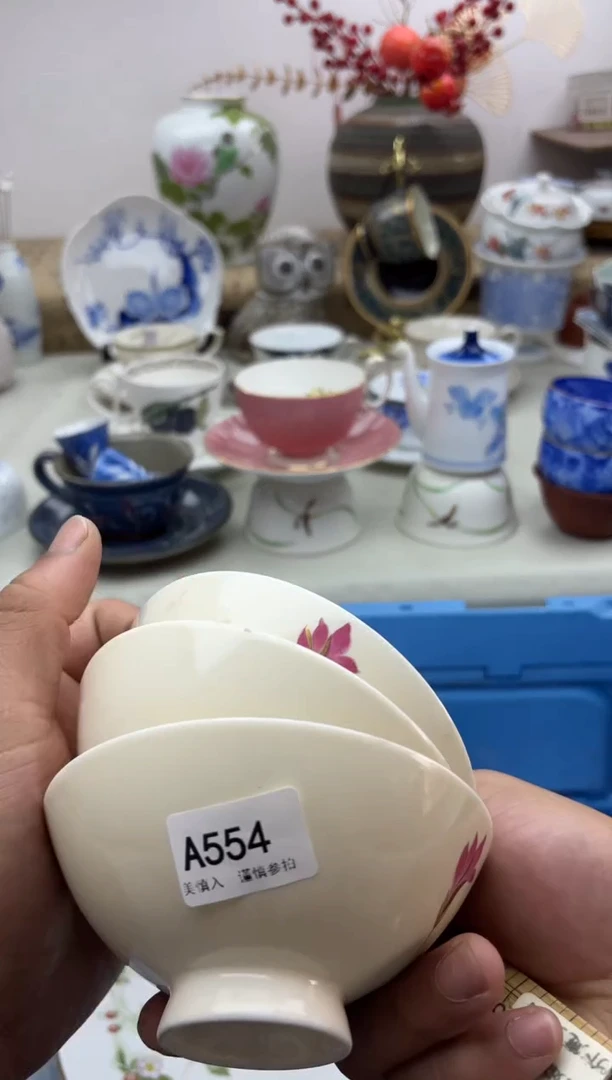 【闪购商品】碟A554...........