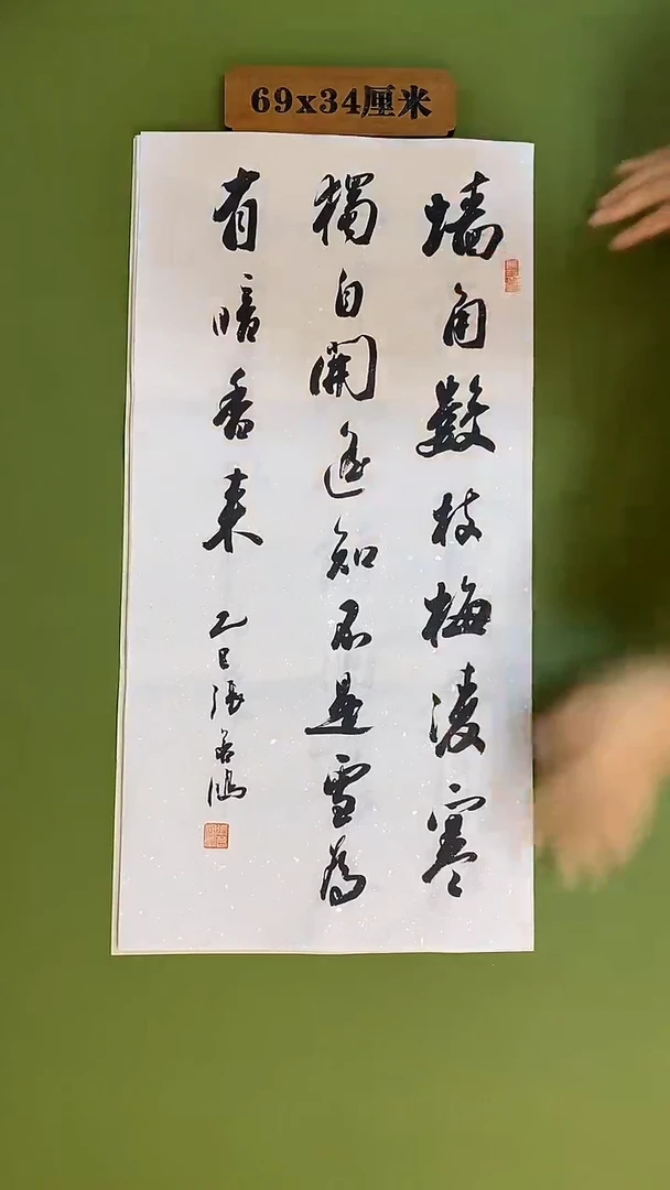 书法书法 张若鸿 尺寸69cm*34cm