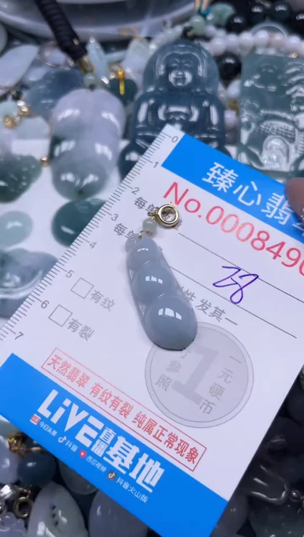 颈饰未镶嵌翡翠8490