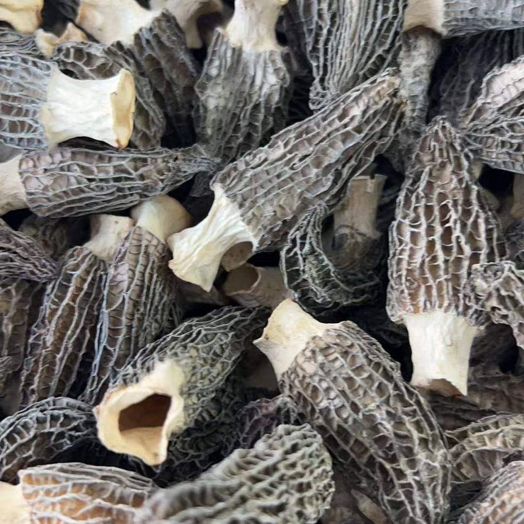 0405A羊肚菌干菌菇