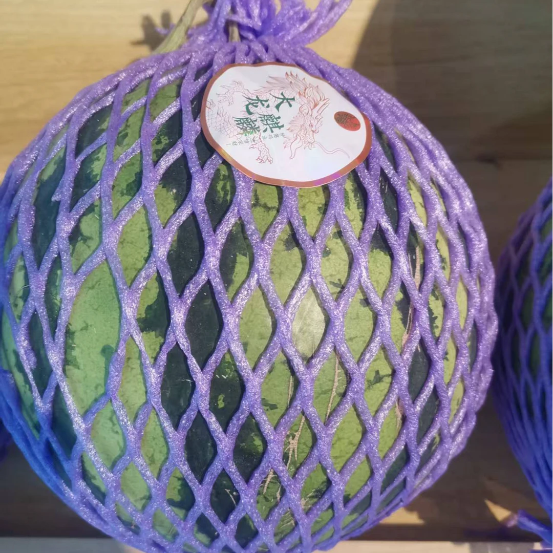 浙江大龙麒麟西瓜500g一斤装盒浙江省