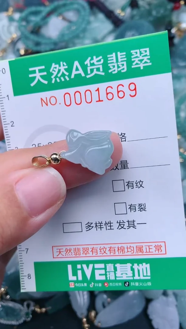 颈饰未镶嵌翡翠.0001669