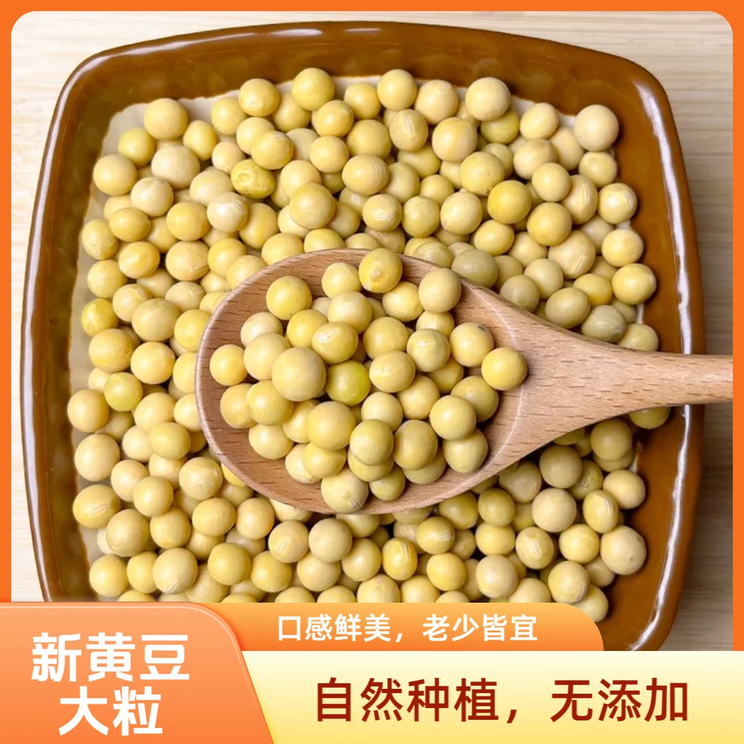【3斤新黄豆】净重农家自产可发芽打豆浆做豆腐专用黄大豆煲汤豆香