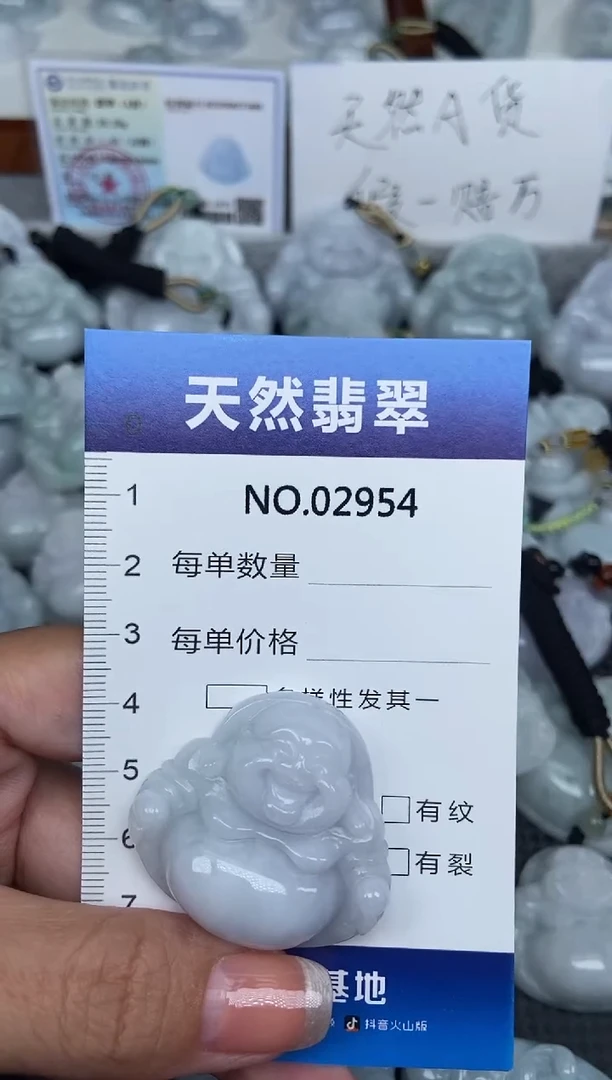 颈饰未镶嵌翡翠纯天然A货翡翠2954
