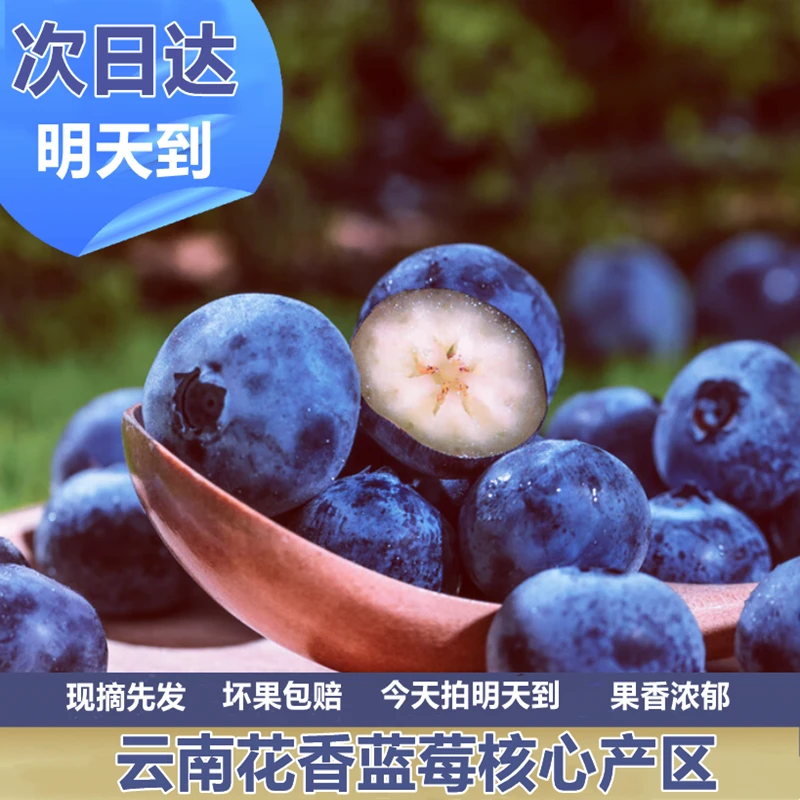 【明日达】18＋花香蓝莓云南澄江蓝莓2/4/8盒礼盒装18mm-24mm新鲜采摘xn24云南省