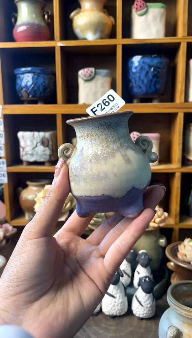 260内口5【多肉花盆多肉盆】