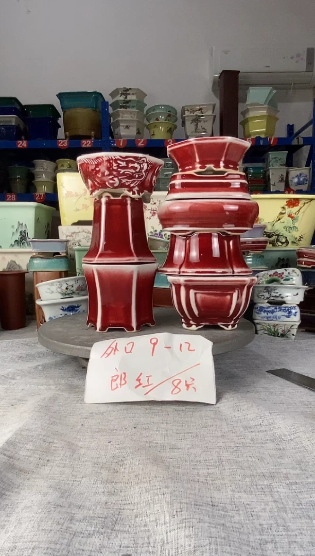 252208八只郎红花盆
