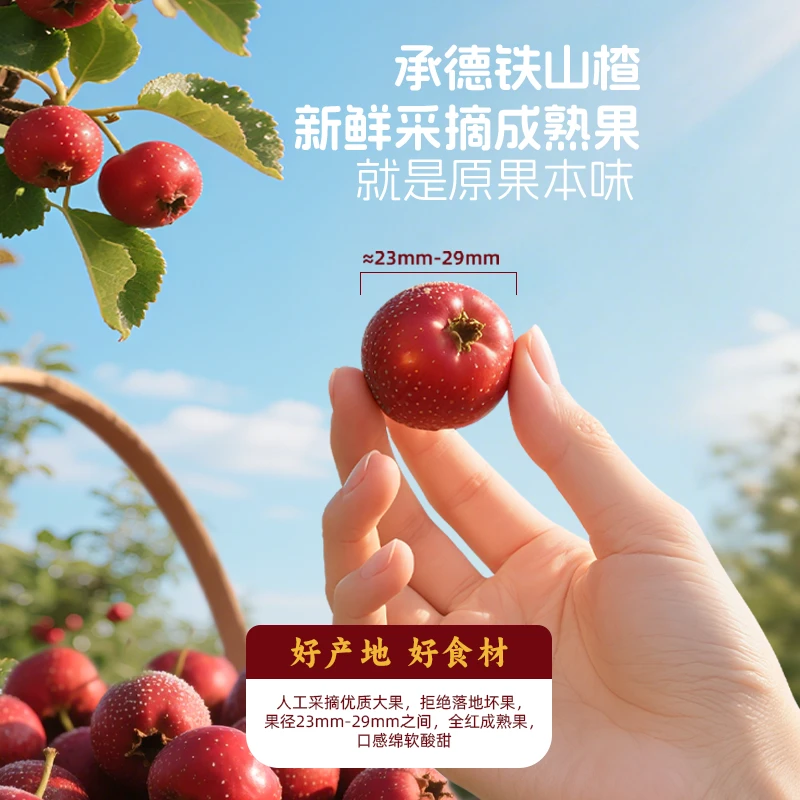 【盖狮官方正品】烤山楂零食空心无添加独立包装整颗无核即食