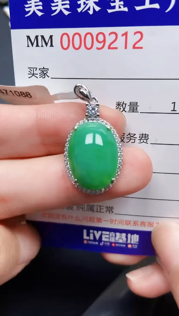 翡翠银S925镶嵌颈饰9212