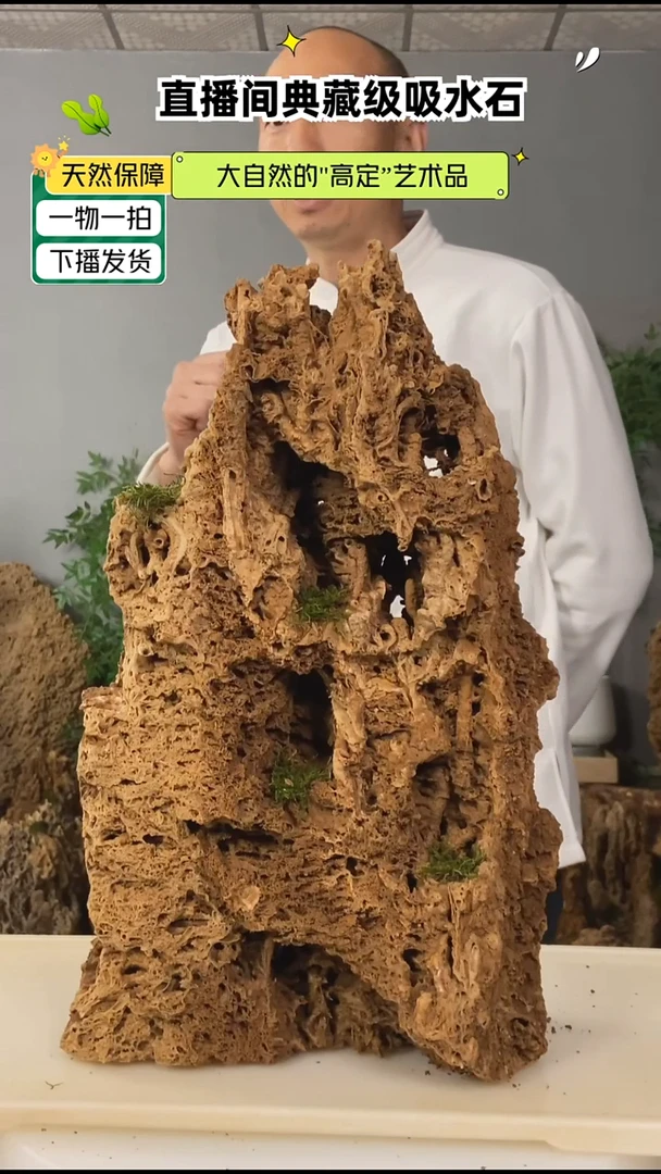 无花朵天然吸水石1111