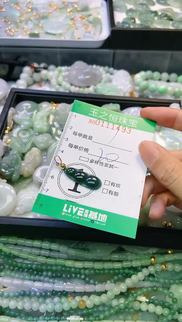 翡翠未镶嵌颈饰闪购0111493