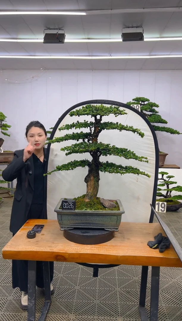 无花朵一物一拍一物一拍