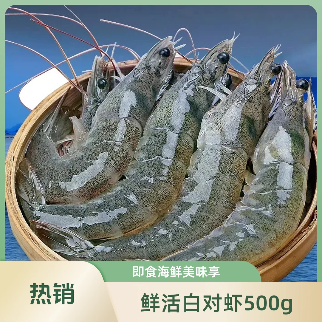 鲜活白对虾500g