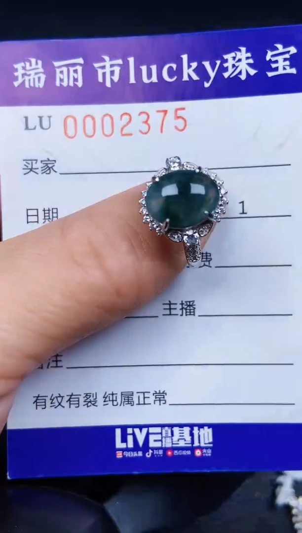 翡翠银S925镶嵌颈饰2375