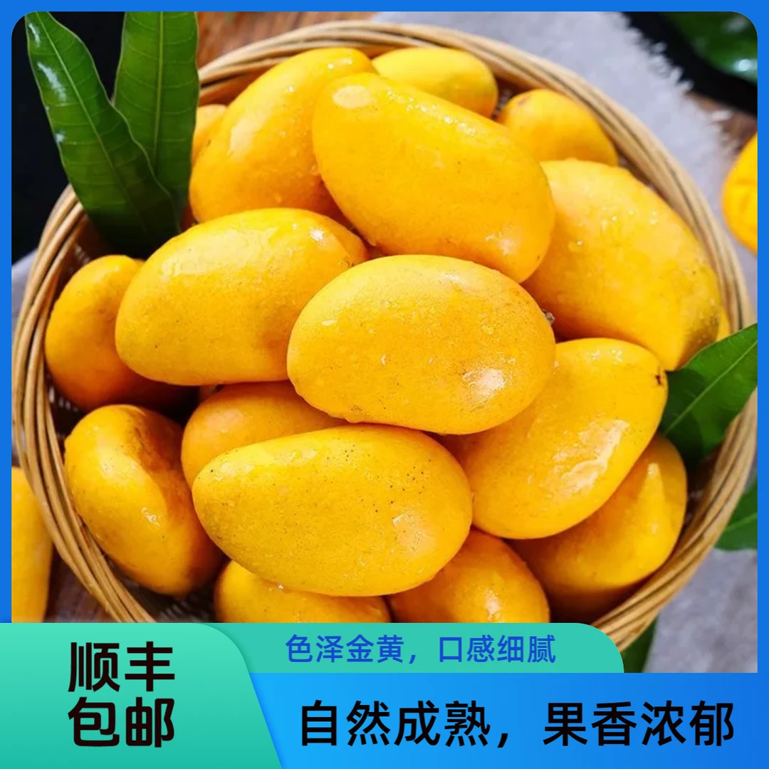 顺丰包邮海南新鲜小台农芒果3斤/5斤包邮整箱