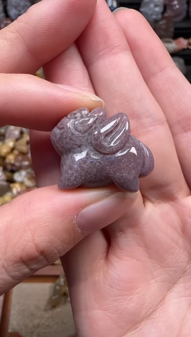 颈饰未镶嵌硅化珊瑚（珊瑚玉）583
