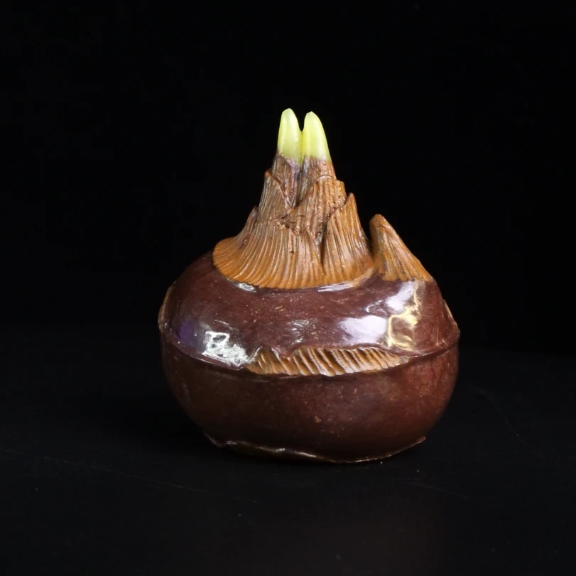 8寿山石月尾紫马蹄手把件152.1克5.4x5.3x6