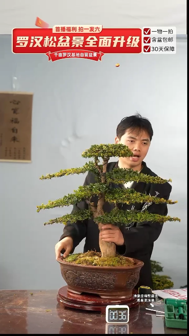 以实际为准专属于  大哥的闪购链接