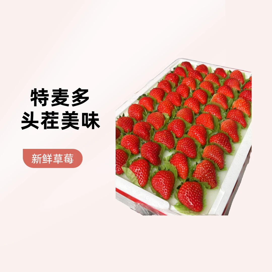 巨无霸特大果丹东九九草莓 g【好东西】