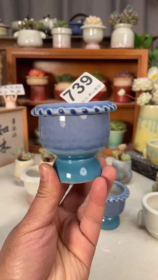 瓷片大****z739小芳直播编号