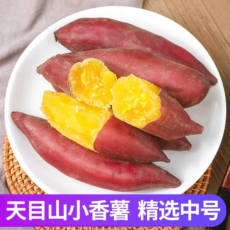 临安天目山小香薯黄心红薯农家自种新鲜小番薯板栗红薯粉糯香甜