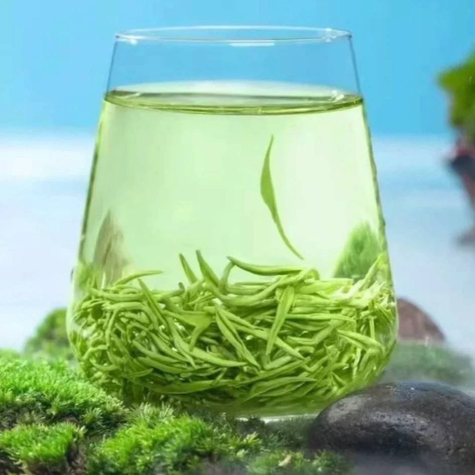 2025年明前贵州高山云雾毛尖500克