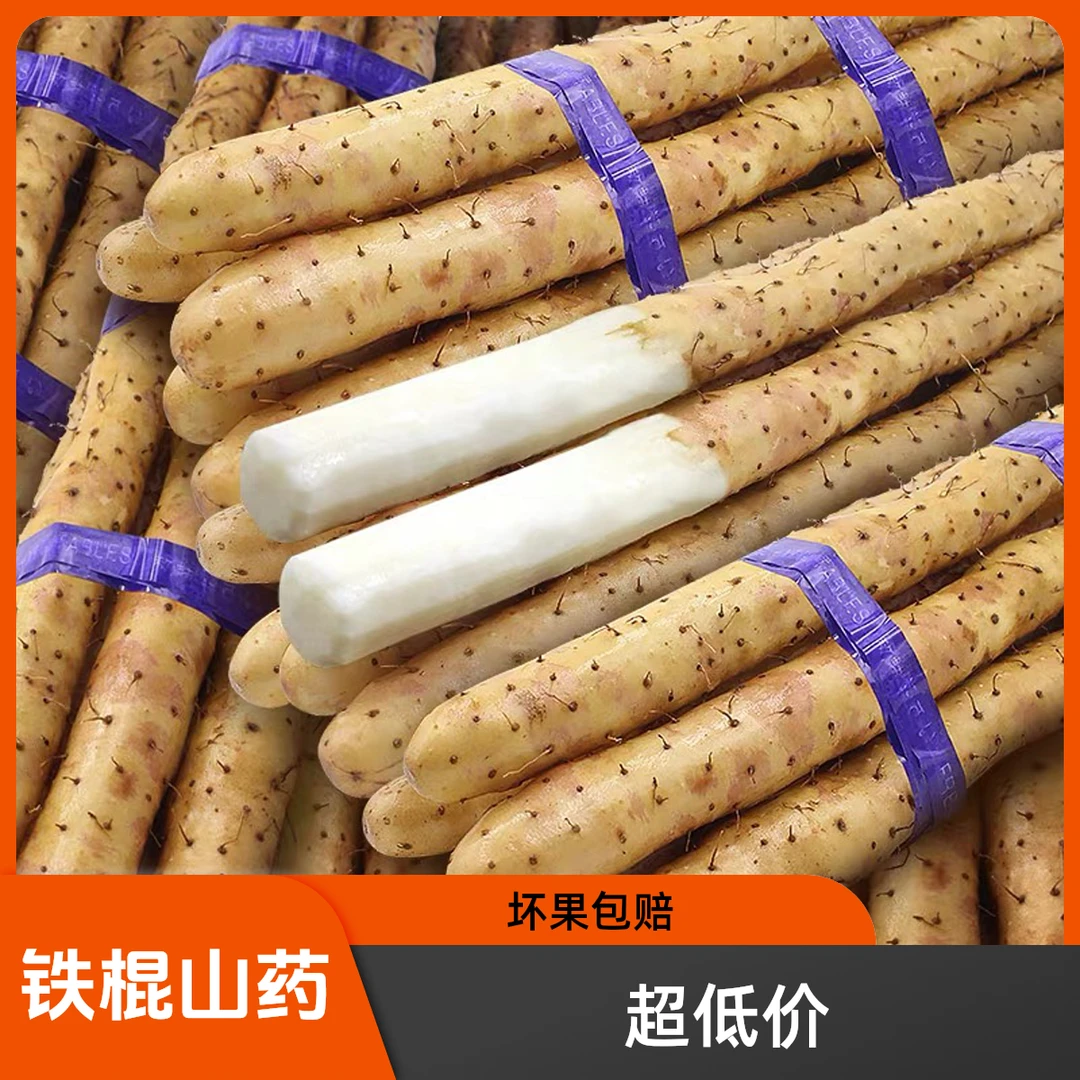 【正宗铁棍山药超大果当季新鲜铁棍山药原产地直销坏果包赔80-90cm