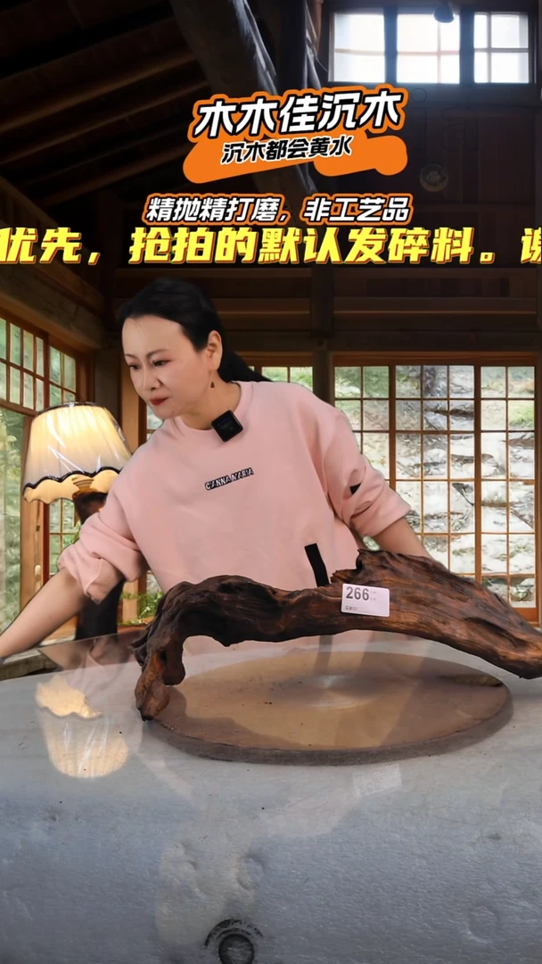 东****9木木佳沉木鱼缸造景