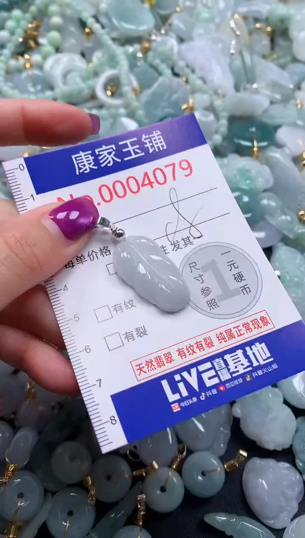 颈饰未镶嵌翡翠4079