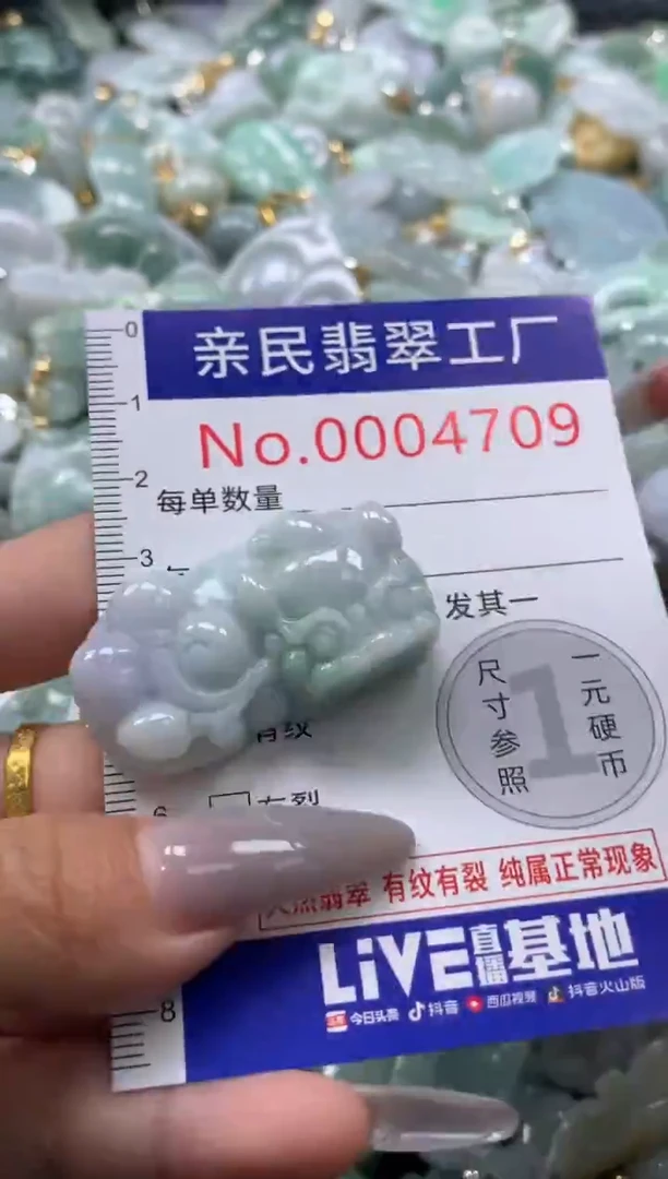 颈饰未镶嵌翡翠4709