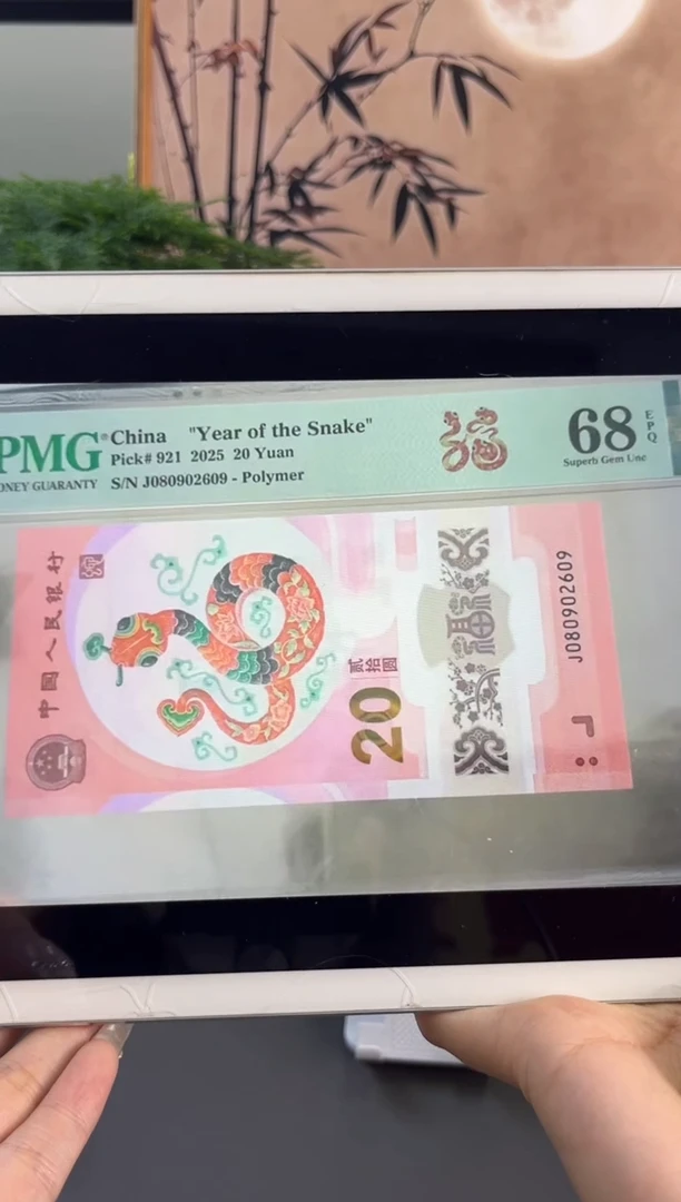 塑料龙珠号 蛇钞PMG68分 尾609