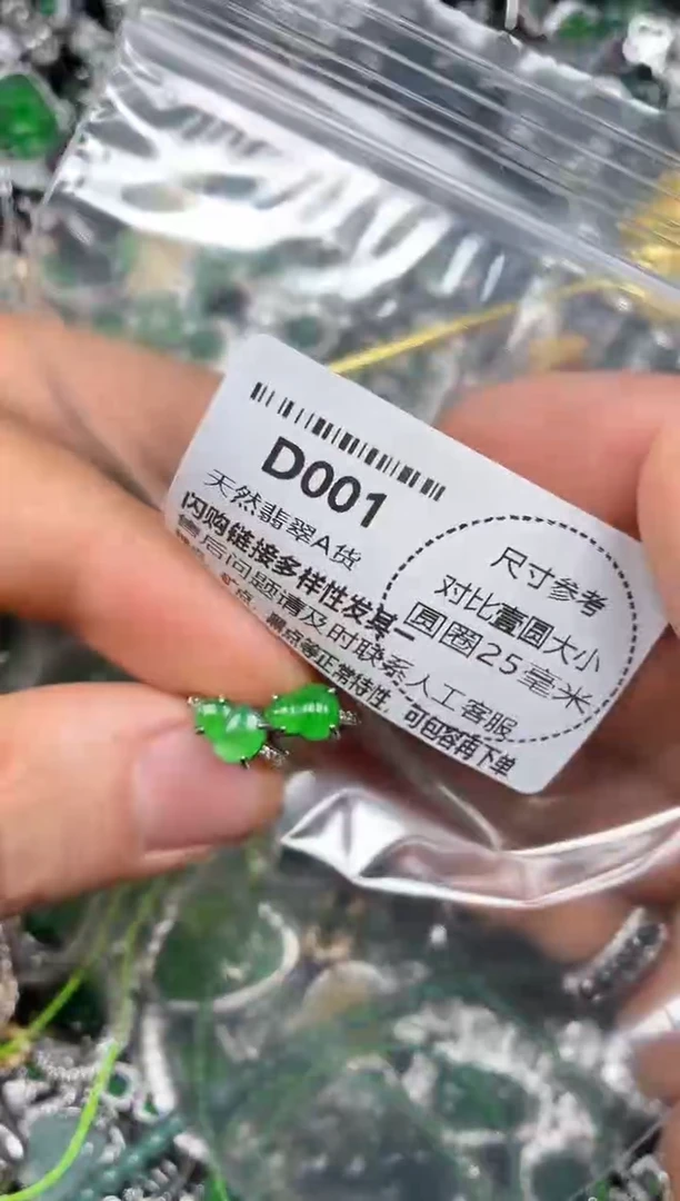 颈饰未镶嵌翡翠D001耳扣