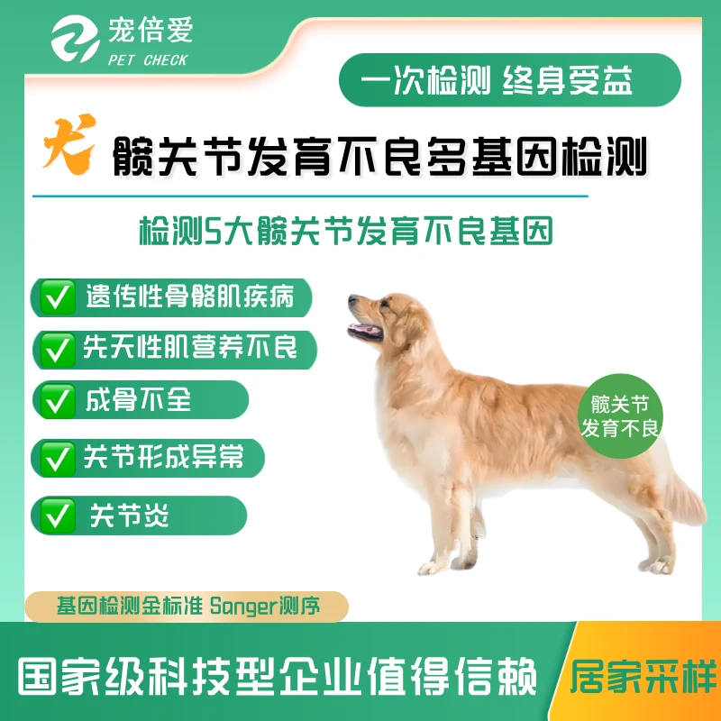 犬髋关节发育不良基因检测chd狗后腿无力关节痛腿瘸脱位【送检】