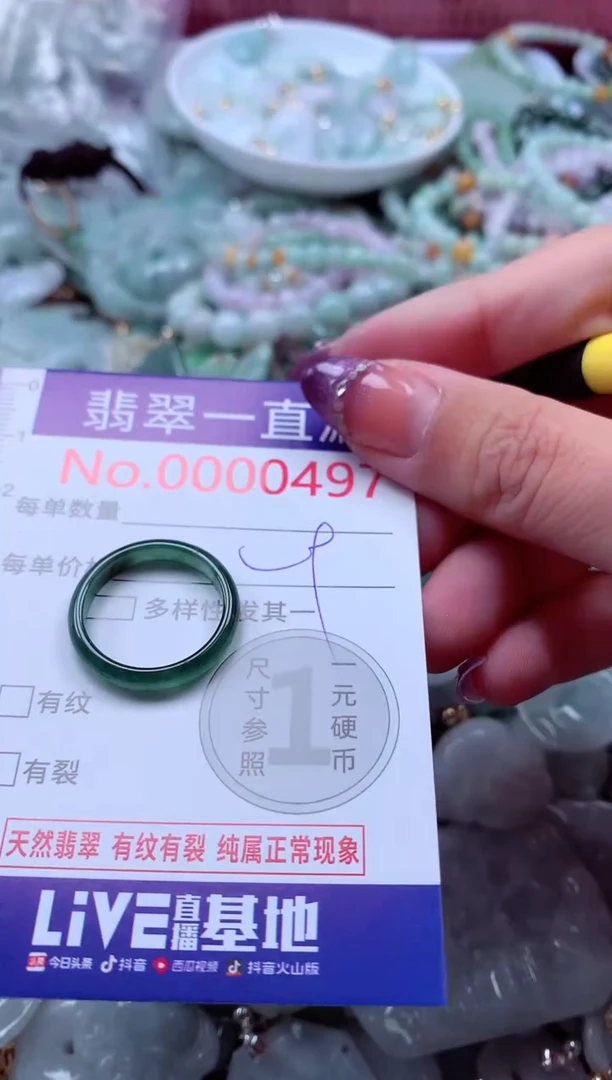 翡翠未镶嵌吊坠(不含链)497