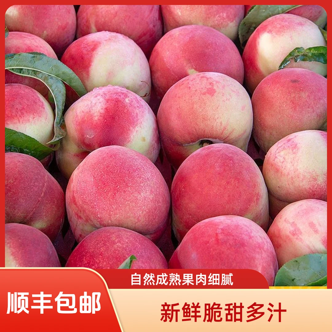 正宗蒙阴新世纪水蜜桃红桃脆甜糯软食用多汁孕期孕妇送礼顺丰包邮