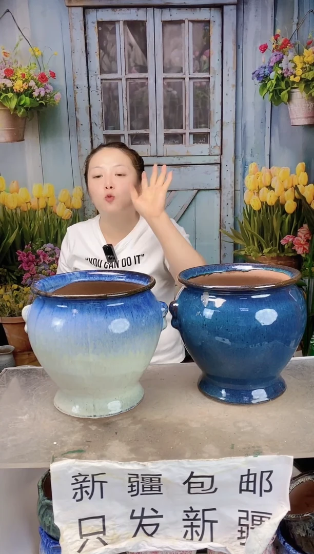 051 白蓝小耳收底陶盆两个装 口18高19