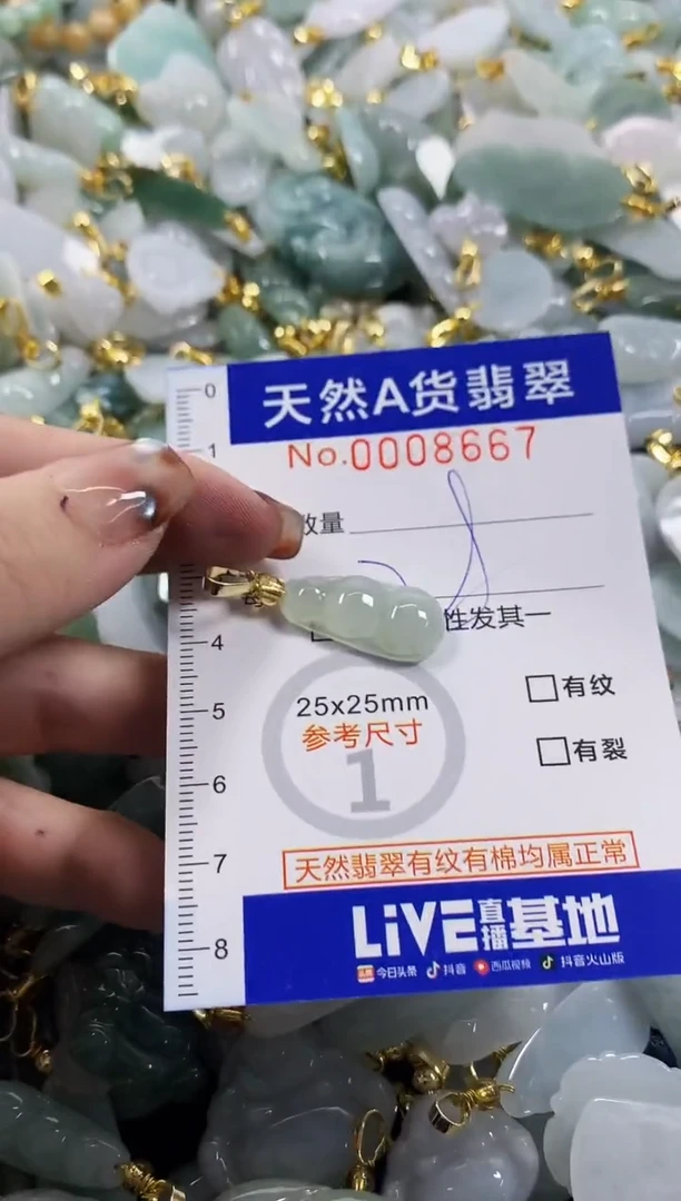 颈饰未镶嵌翡翠天然A货翡翠