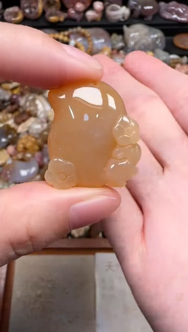 颈饰未镶嵌硅化珊瑚（珊瑚玉）171