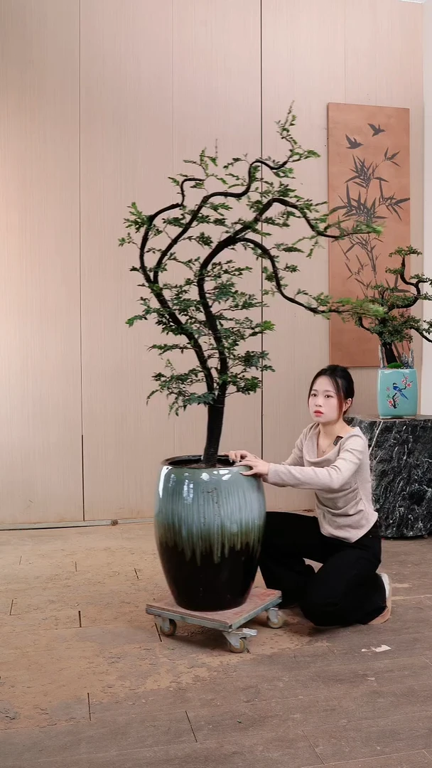 【闪购商品】03号广东小叶紫檀黑骨茶