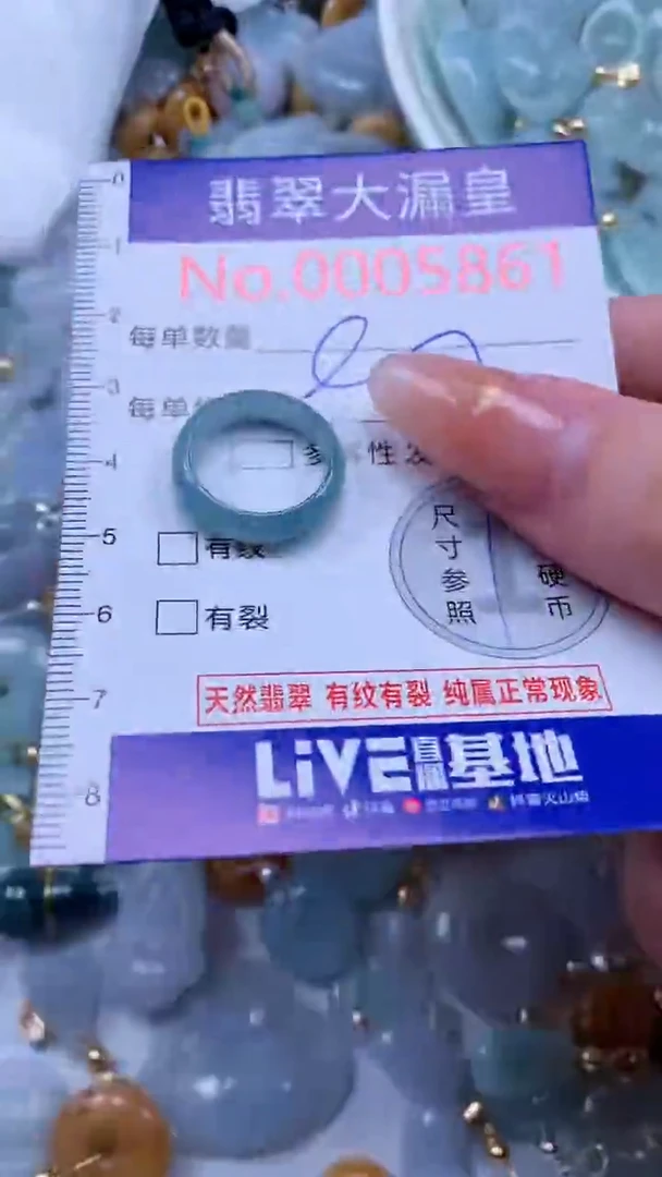 翡翠未镶嵌吊坠(不含链)5861