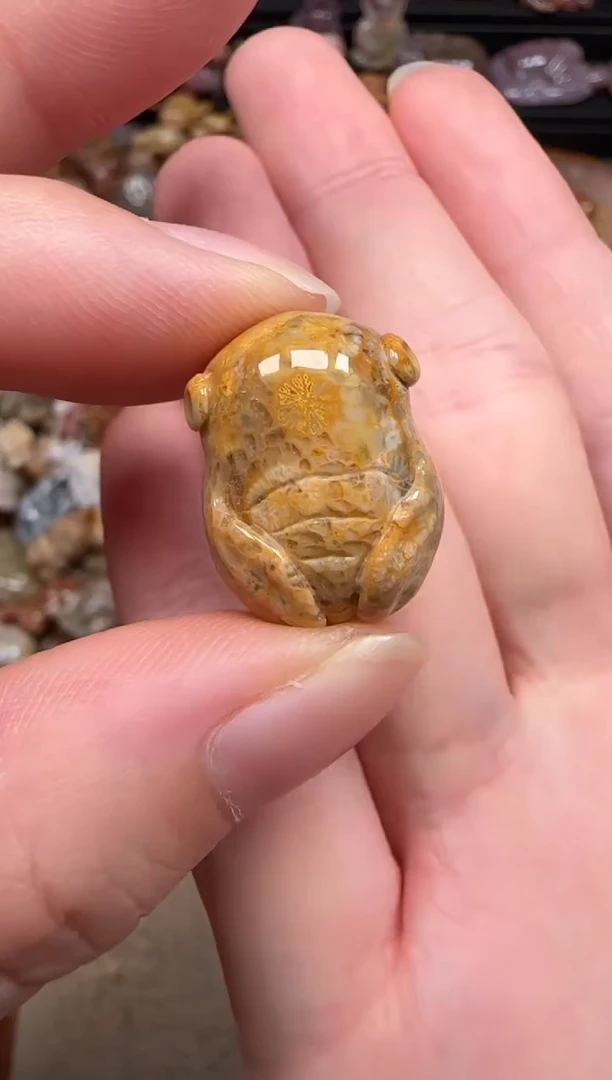 硅化珊瑚（珊瑚玉）未镶嵌颈饰471